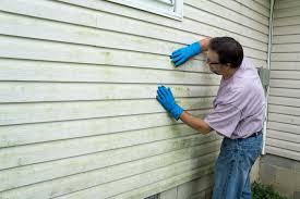 Best Storm Damage Siding Repair  in Hazen, AR